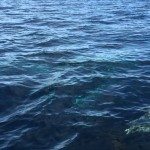 Vissen houden van vissersboot