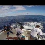 Visser bijna doorboord