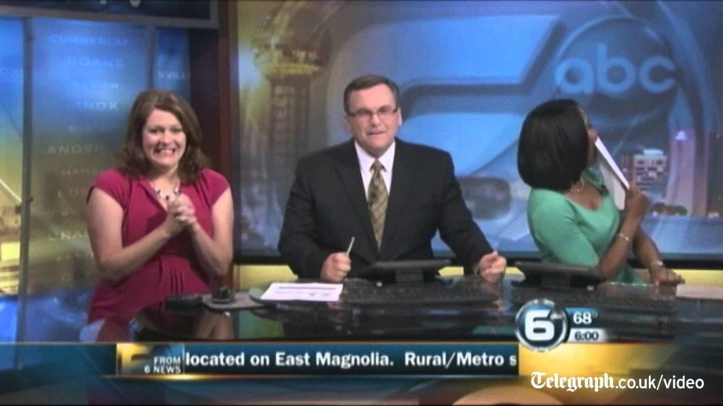 Vleermuis in de studio