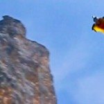 Vlieg maar een stukje mee