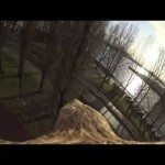 Vlucht van zeearend in Rotterdam