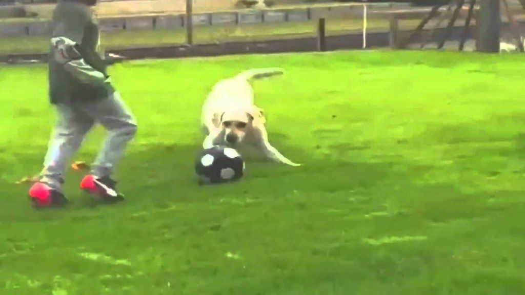 Vuile tackle Maradonna