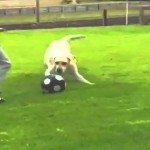 Vuile tackle Maradonna