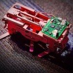 Wat we kunnen leren van kakkerlakken