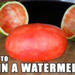 Watermeloen op je party