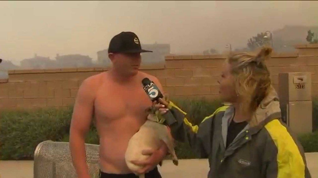 Wil je met mij uitgaan?