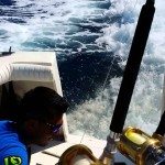 Zeeleeuw springt op boot