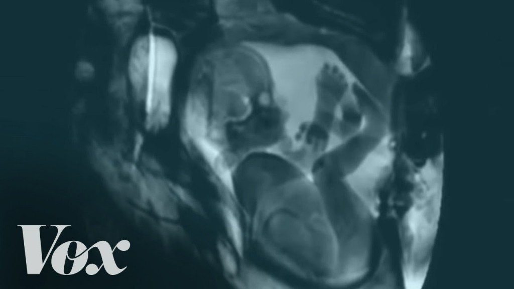 Zo ziet seks er aan de binnenkant uit