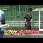 Zwaardmeester doorklieft baseball