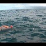 Zwemmer gered door dolfijnen