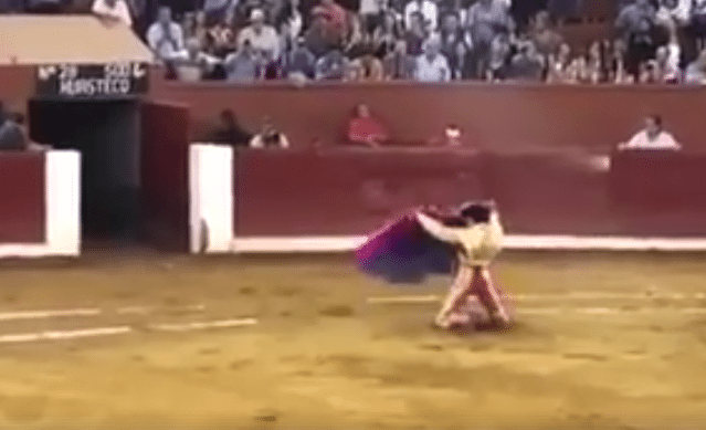 Matador daagt stier uit op zijn knieën