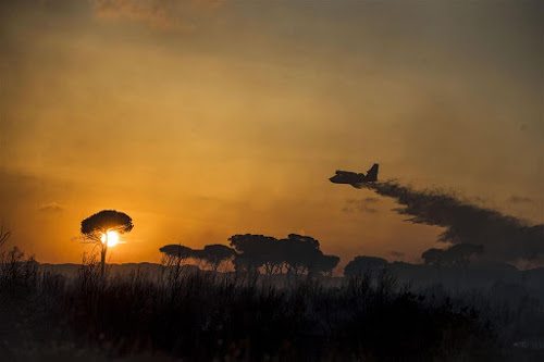 ‘Brandweer Sicilië stichtte brand voor loon’