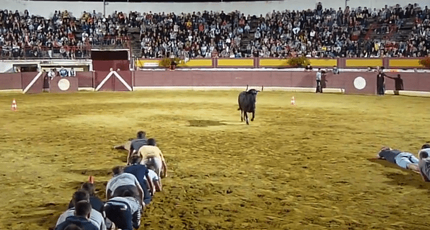 Gevaarlijk levende trein-spelletje met de stier