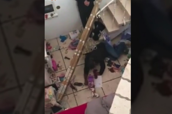 Handige klusser blijkt onhandig