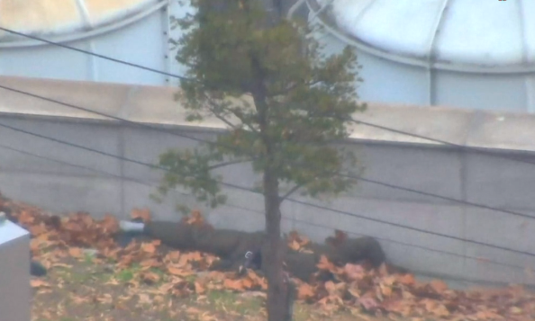 Video: Neerschieten vluchtende Noord-koreaanse militair