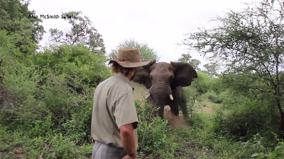 Alan McSmith de olifantenfluisteraar