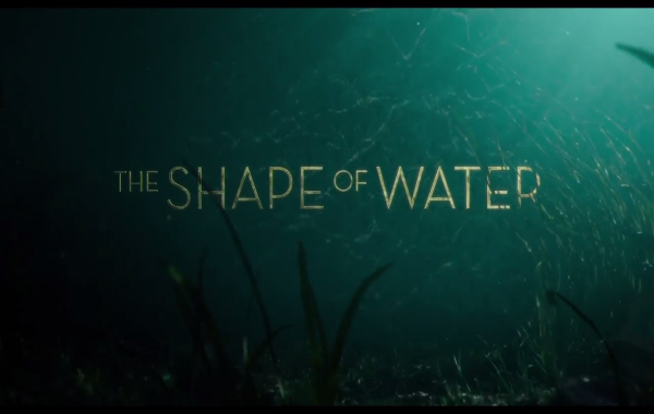 The Shape of Water