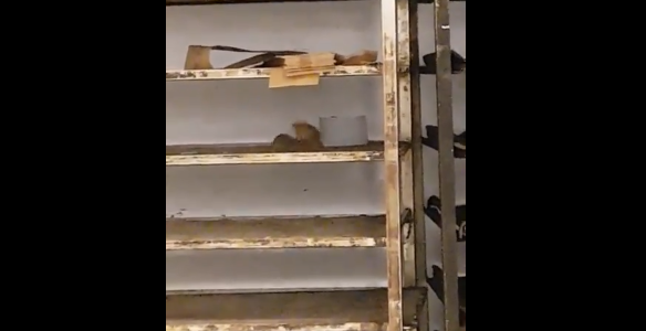 Klant filmt ratten in supermarkt van Carrefour