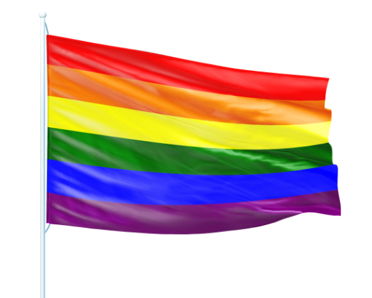 Bekende Nederlanders vieren Canal Pride