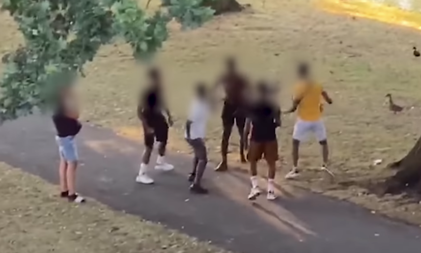 Steekpartij in Oranjepark in rustieke Apeldoorn